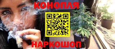 apvp Канаш