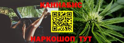 apvp Канаш