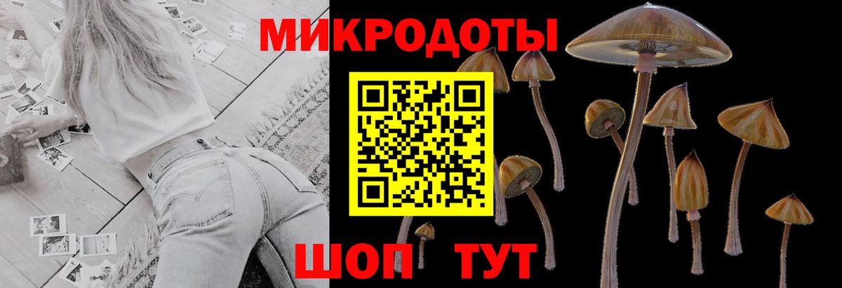 Волжск  Псилоцибиновые грибы ЛСД  Вход с VPN 